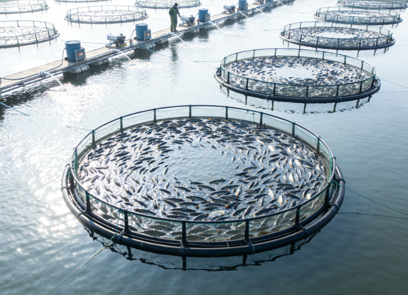 water hardness for fish