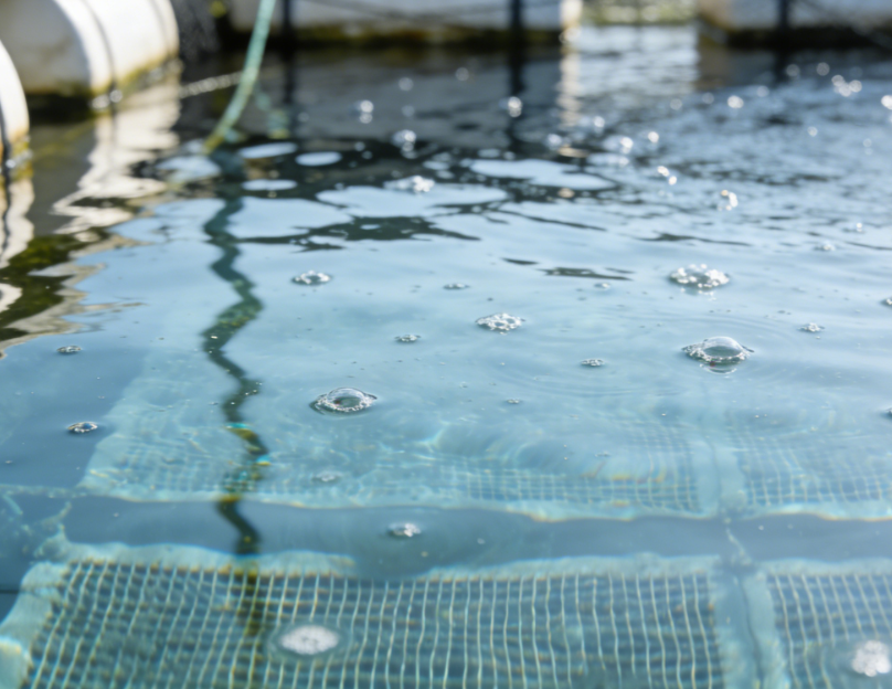 Why Is pH in Water Important Why Is pH in Water Important