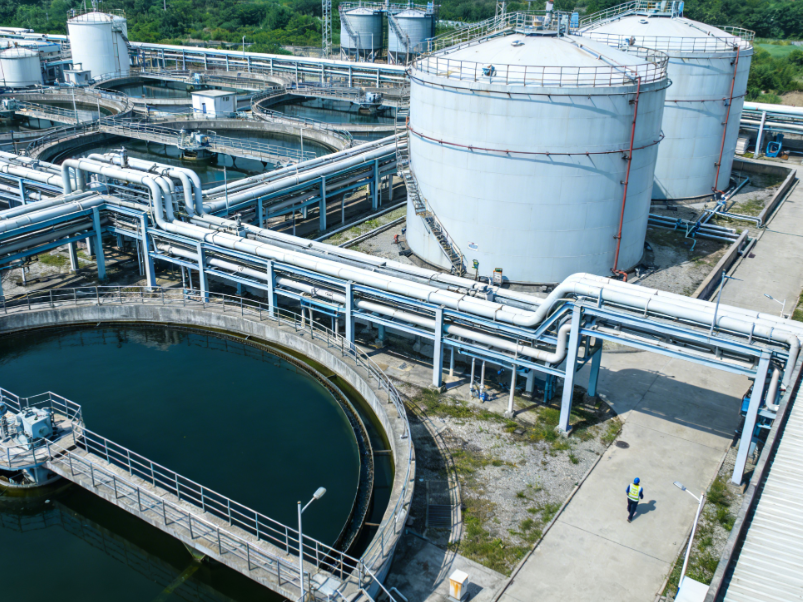 What Is the Purpose of the Turbidity Test