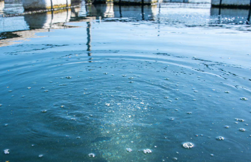 How to remove chlorate from water