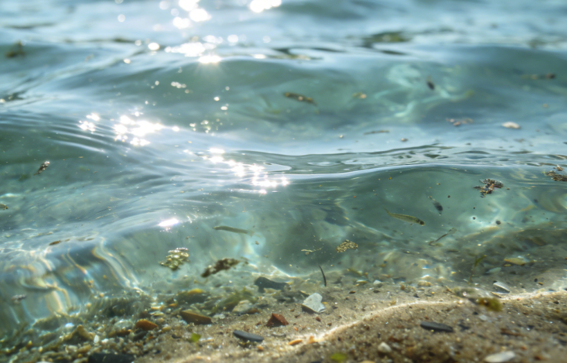 Learn what Is a Good TDS Range