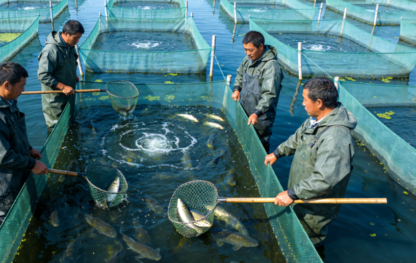 Effect of Poor Water Quality